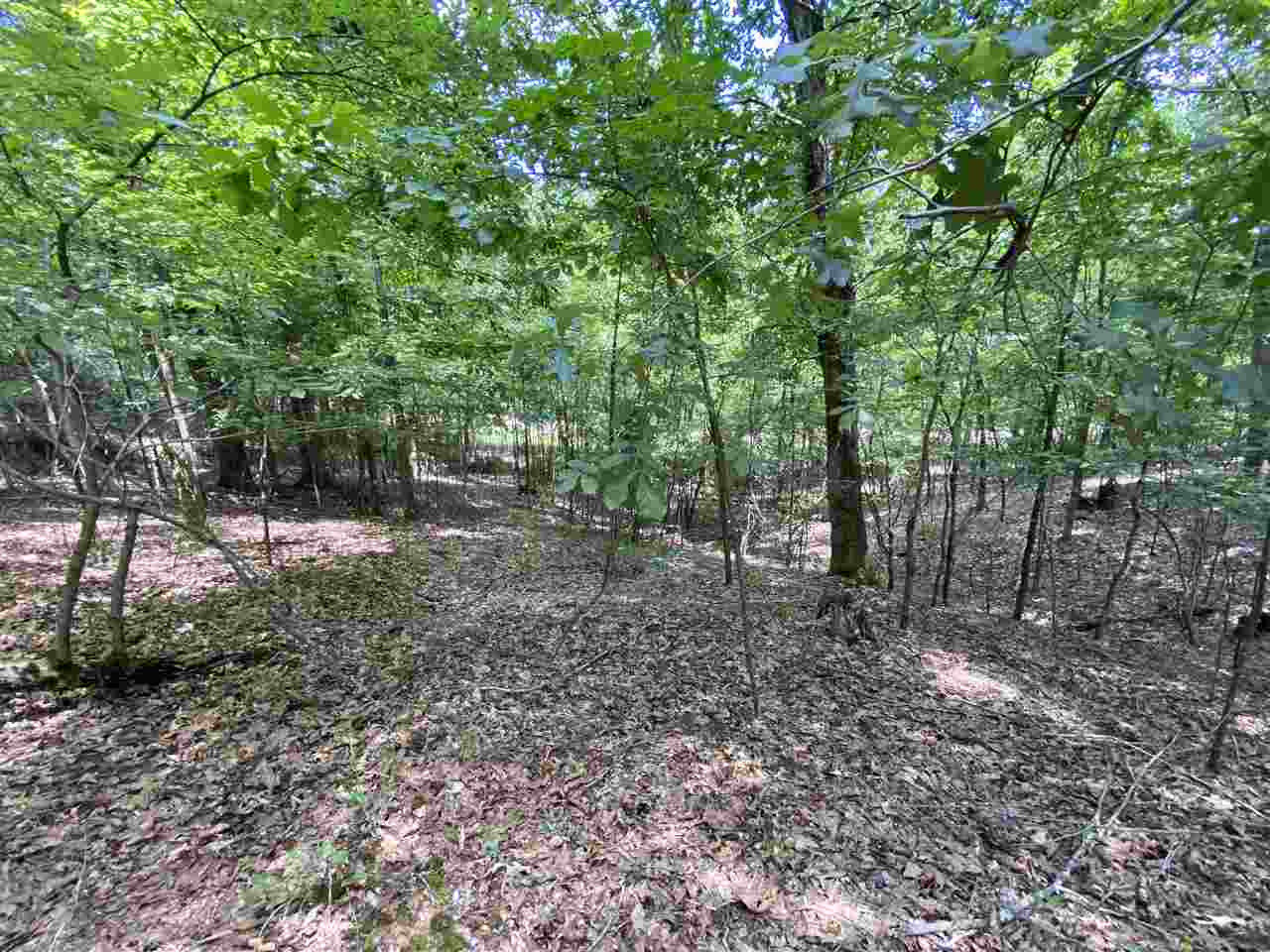 0 Chestnut Hill Road, Unit 51 Flora, MS 39071 - Photo 9 of 12 Photo 9
