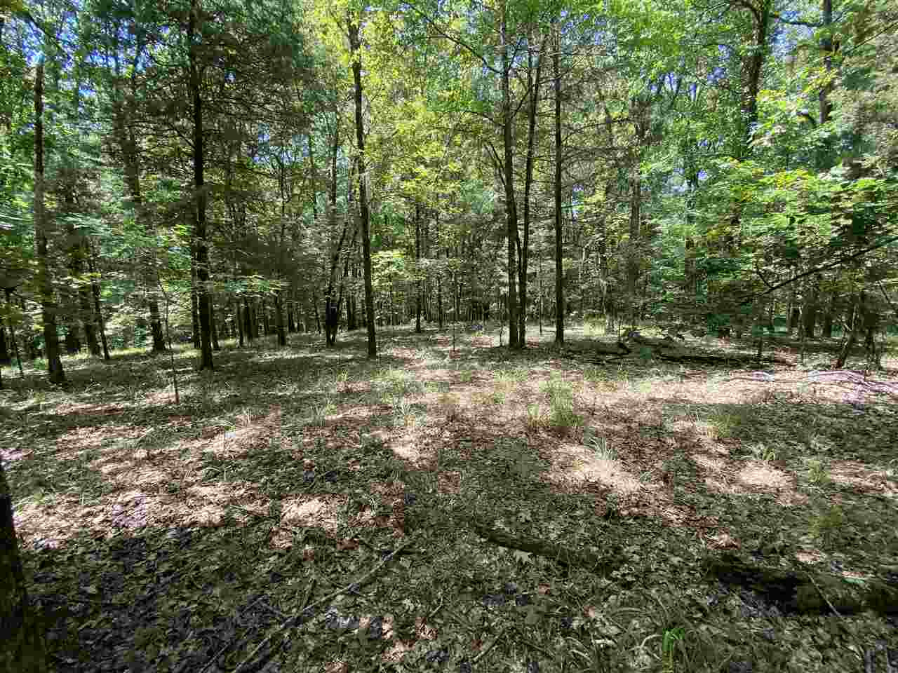 0 Chestnut Hill Road, Unit 51 Flora, MS 39071 - Photo 10 of 12 Photo 10