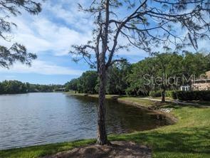6535 Meandering Way Lakewood Ranch, FL 34202 - Photo 3 of 22