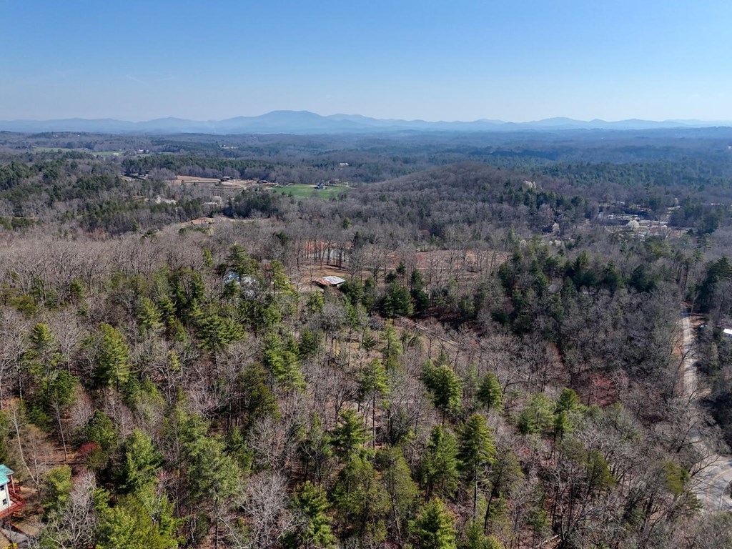Lot B6 Bent Wood Lane Blue Ridge, GA 30513 - Photo 6 of 8 Gallery Image 6