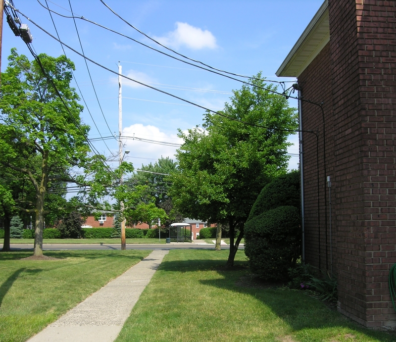 1143 Valley Road, Unit 1143 Wayne, NJ 07470 - Photo 23 of 25 a green field with trees in the background