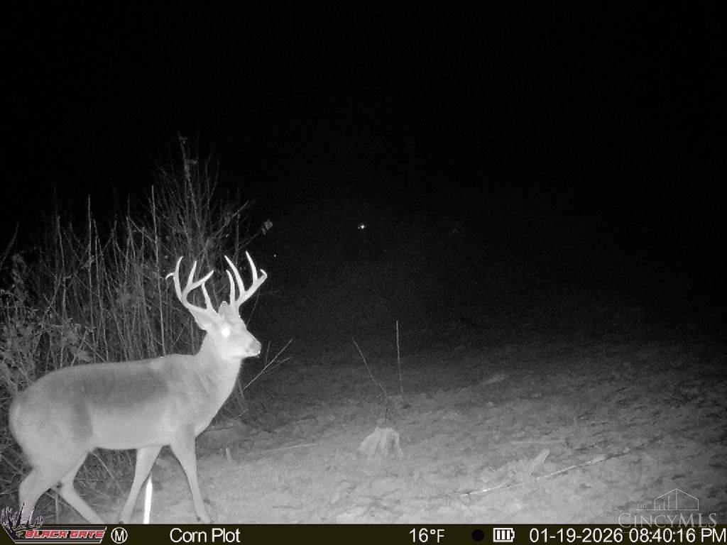 A Enley Road McDermott, OH 45652 - Photo 20 of 97