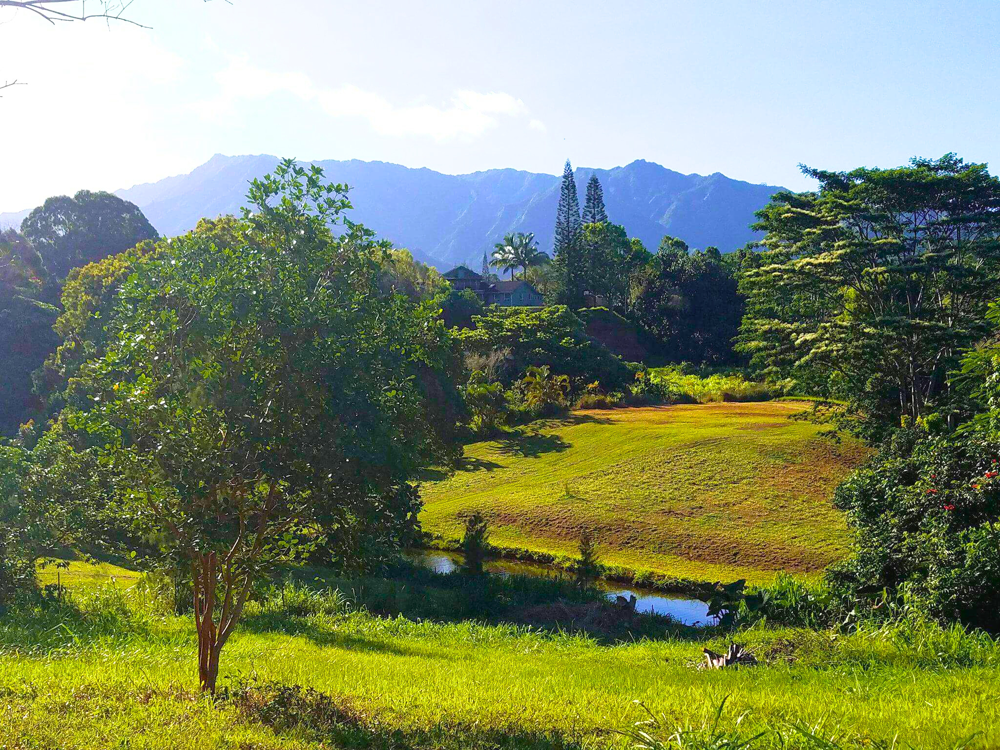 3 Olohena Road, Unit 3 Kapaa, HI 96746 - Photo 21 of 22