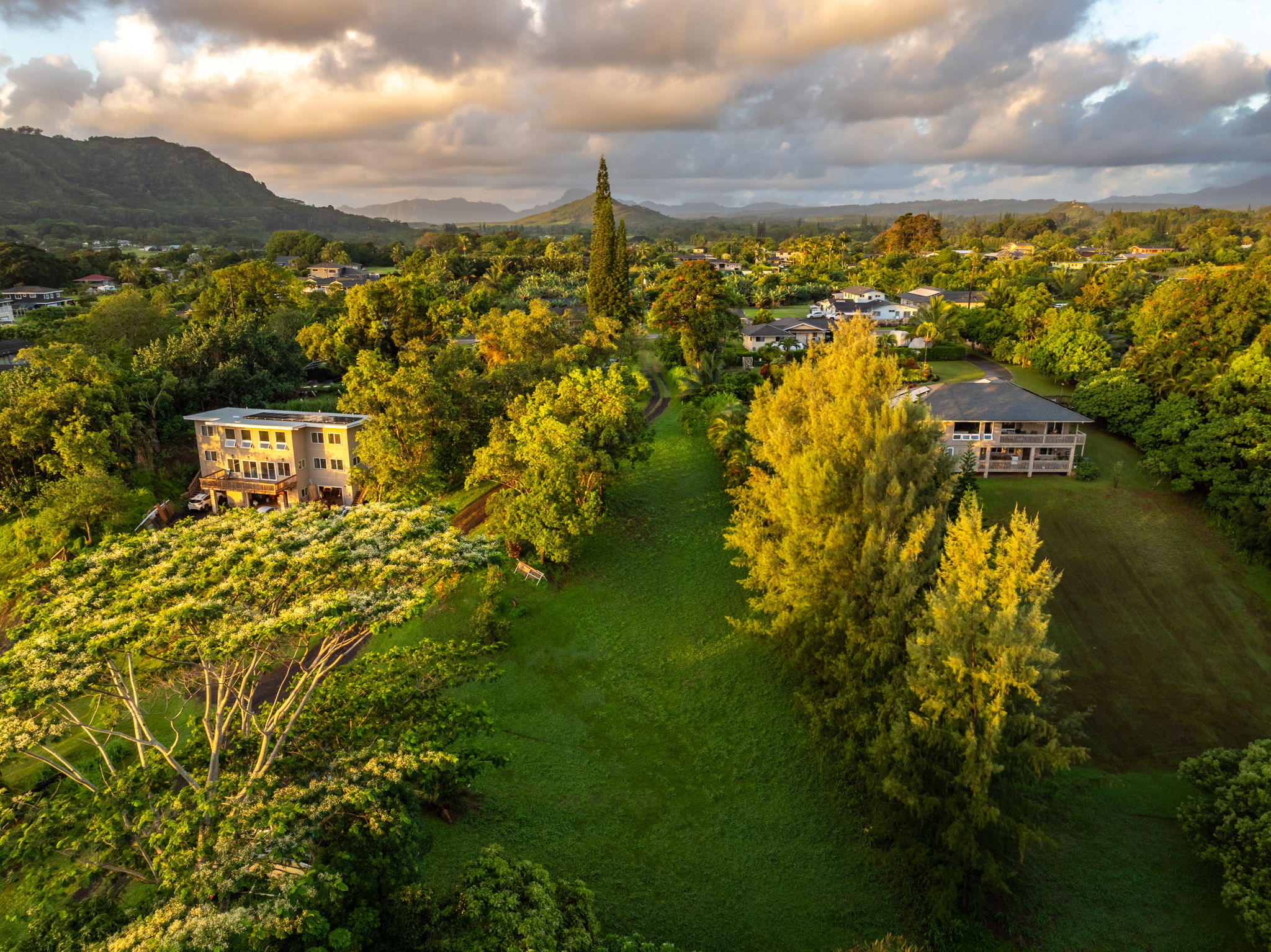 3 Olohena Road, Unit 3 Kapaa, HI 96746 - Photo 7 of 22