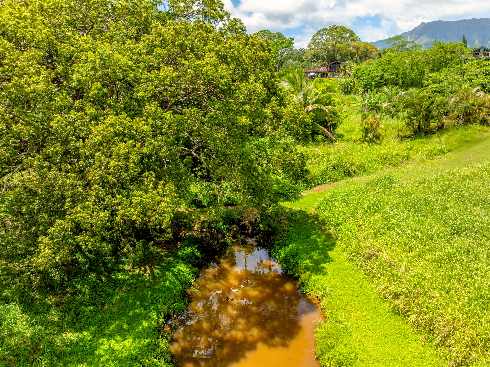 3 Olohena Road, Unit 3 Kapaa, HI 96746 - Photo 9 of 22