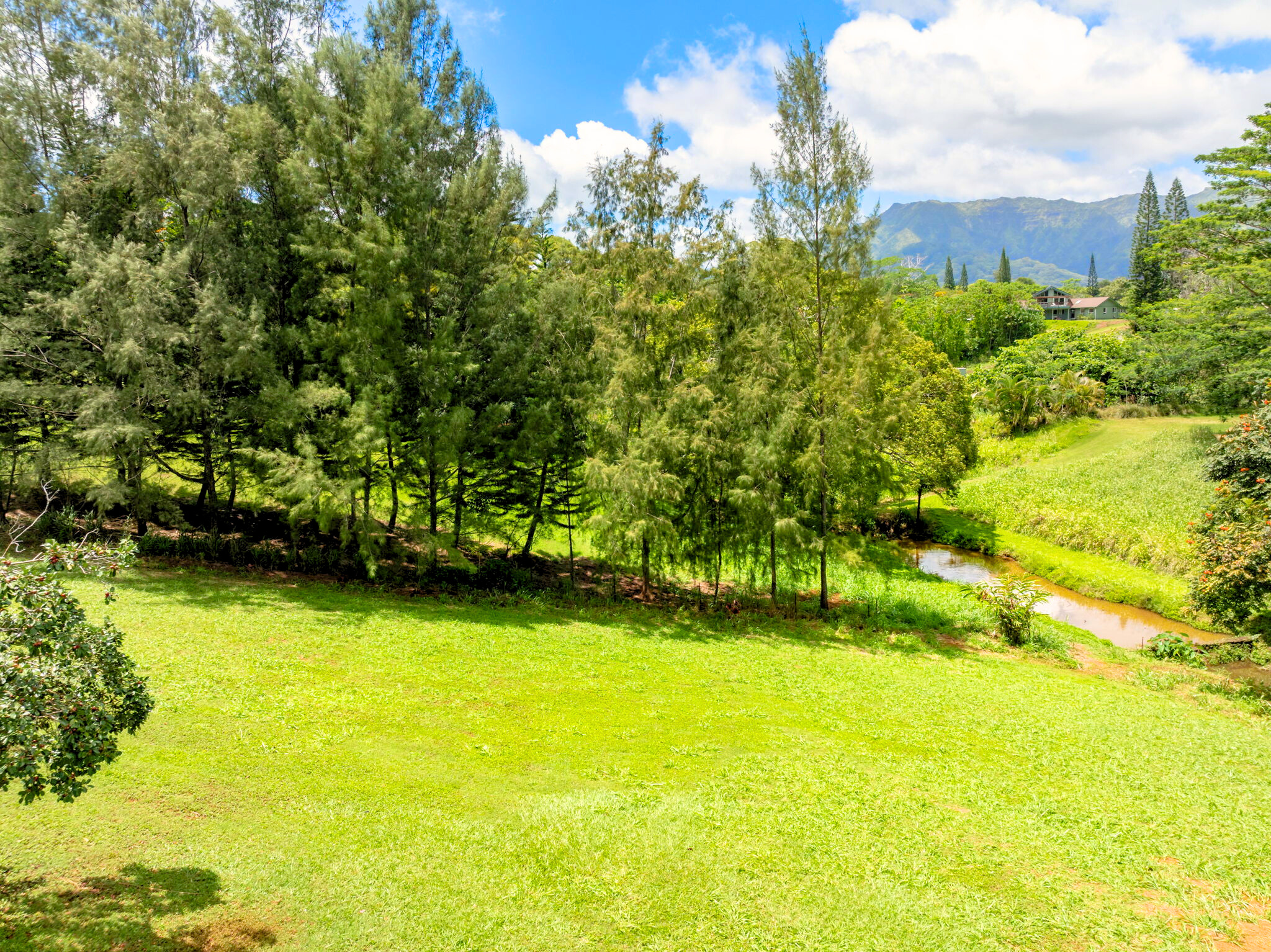 3 Olohena Road, Unit 3 Kapaa, HI 96746 - Photo 10 of 22