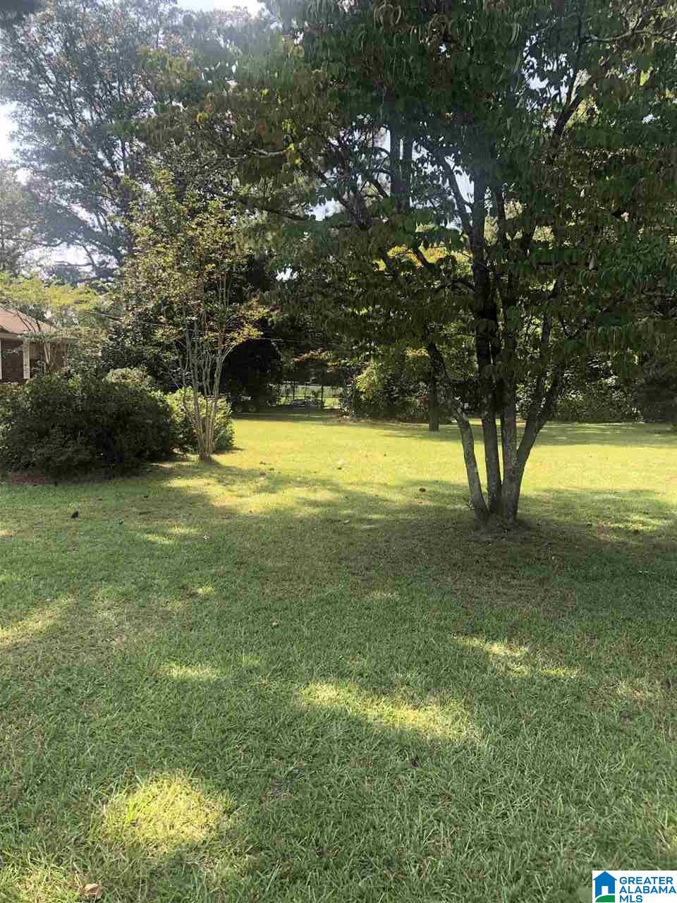 205 Hoyt Brownie Road Clanton, AL 35045 - Photo 7 of 39