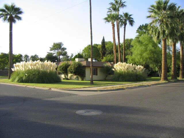 3744 East Coronado Road Phoenix, AZ 85008 - Photo 1 of 6 Primary Photo