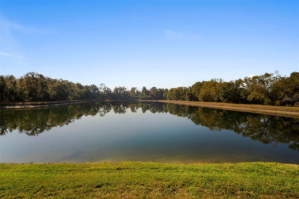 2802 Conch Hollow Drive Brandon, FL 33511 - Photo 15 of 74