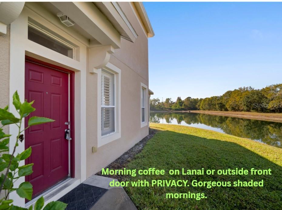 2802 Conch Hollow Drive Brandon, FL 33511 - Photo 5 of 74