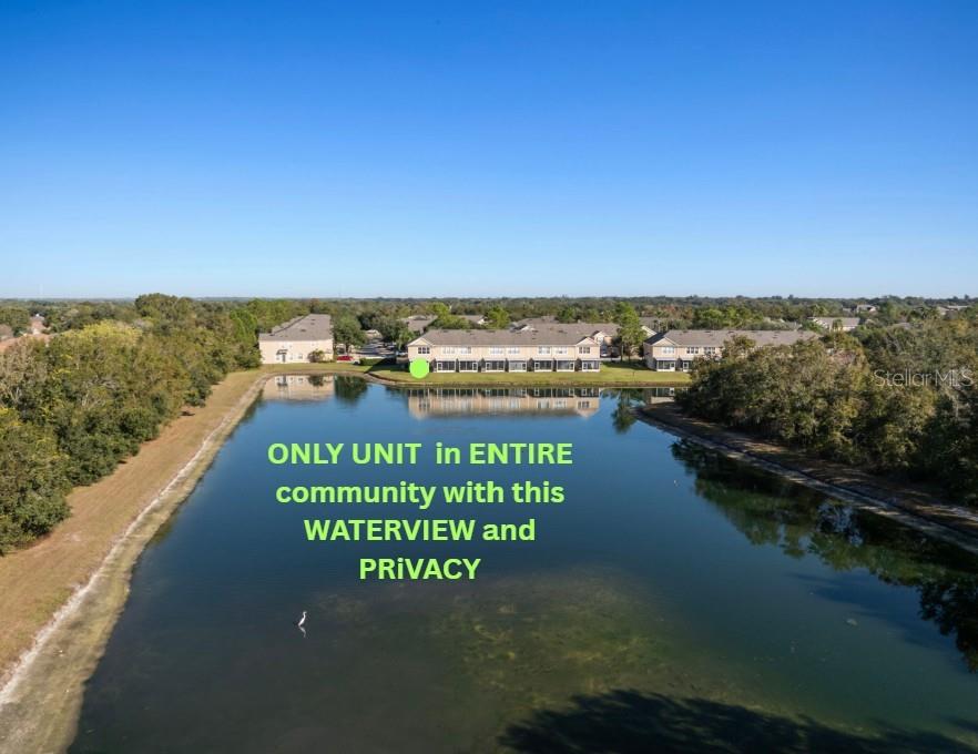 2802 Conch Hollow Drive Brandon, FL 33511 - Photo 51 of 74