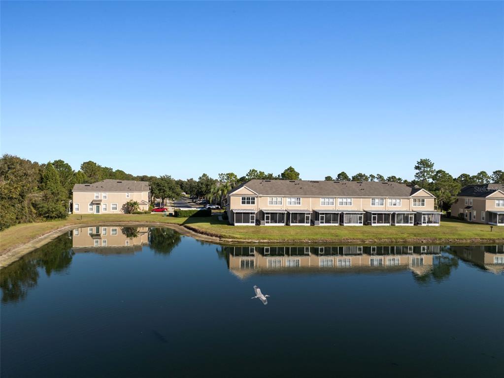 2802 Conch Hollow Drive Brandon, FL 33511 - Photo 55 of 74