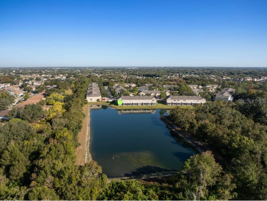 2802 Conch Hollow Drive Brandon, FL 33511 - Photo 70 of 74