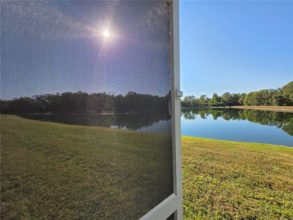 2802 Conch Hollow Drive Brandon, FL 33511 - Photo 72 of 74 a view of a lake