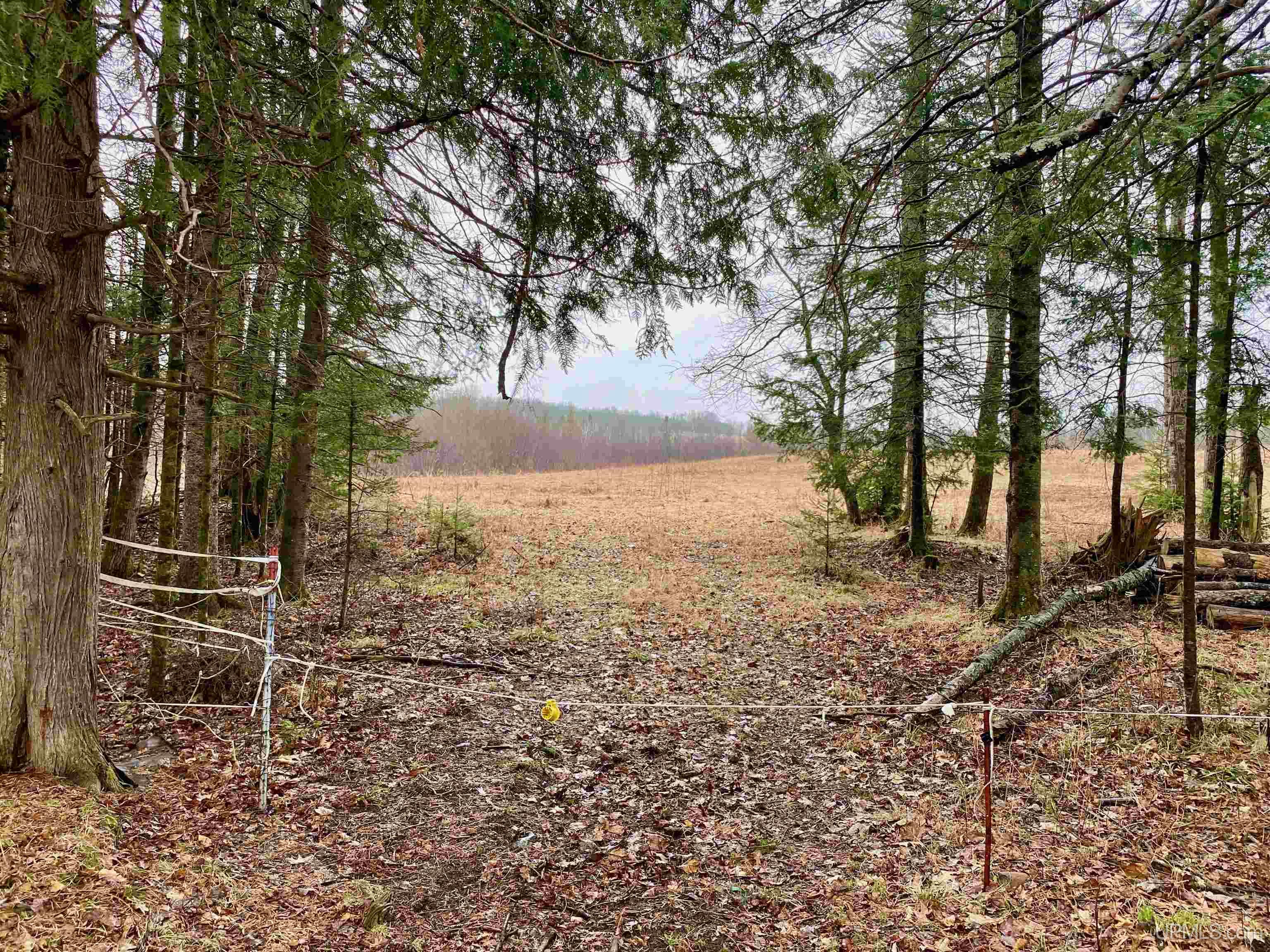 T-wi Wi 54121 Road Florence, WI 54121 - Photo 17 of 20 Gallery Image 17