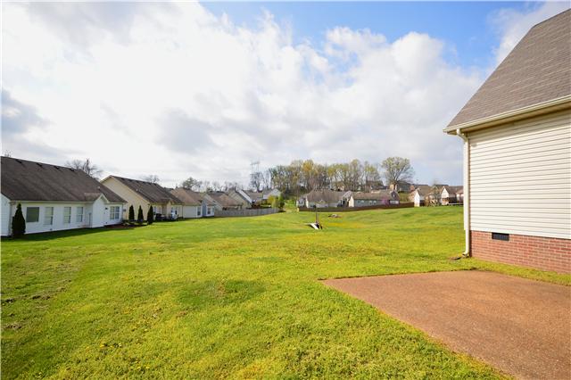 1027 Golf View Way Spring Hill, TN 37174 - Photo 19 of 19 Backs To Open Space!