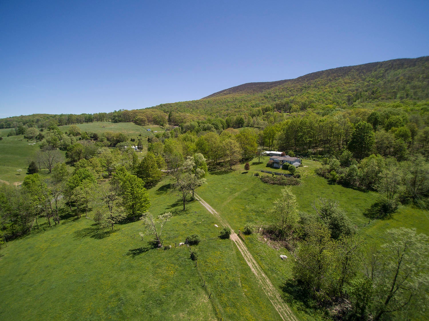 2090 Pete Amos Road Lindside, WV 24951 - Photo 33 of 96 Gallery Image 33