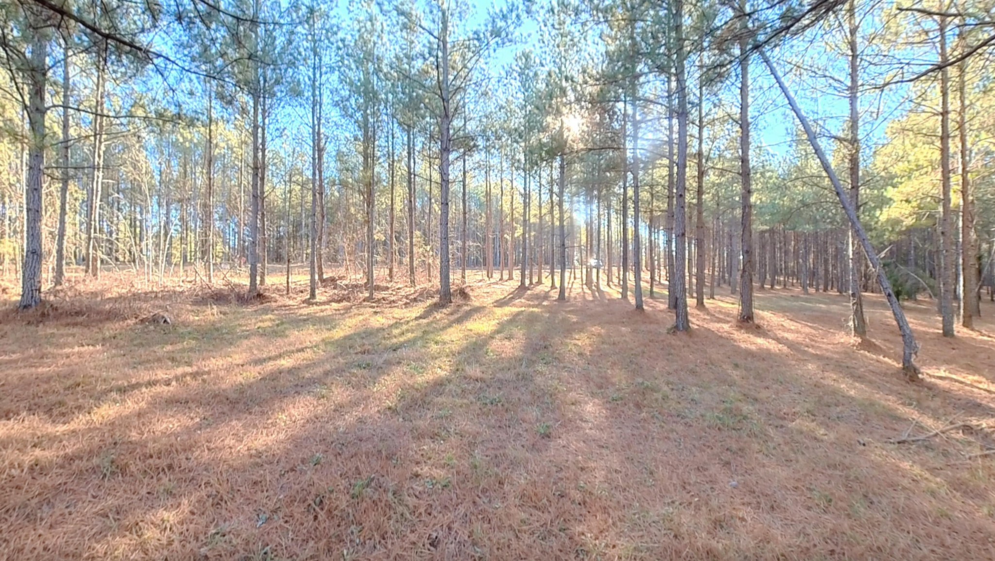 0 Three Gorges Road Soddy Daisy, TN 37379 - Photo 11 of 21 a view of outdoor space with wooden fence