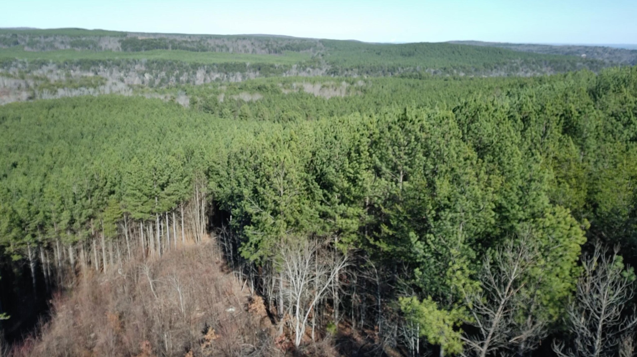 0 Three Gorges Road Soddy Daisy, TN 37379 - Photo 16 of 21 a view of a lush green forest with trees and some houses