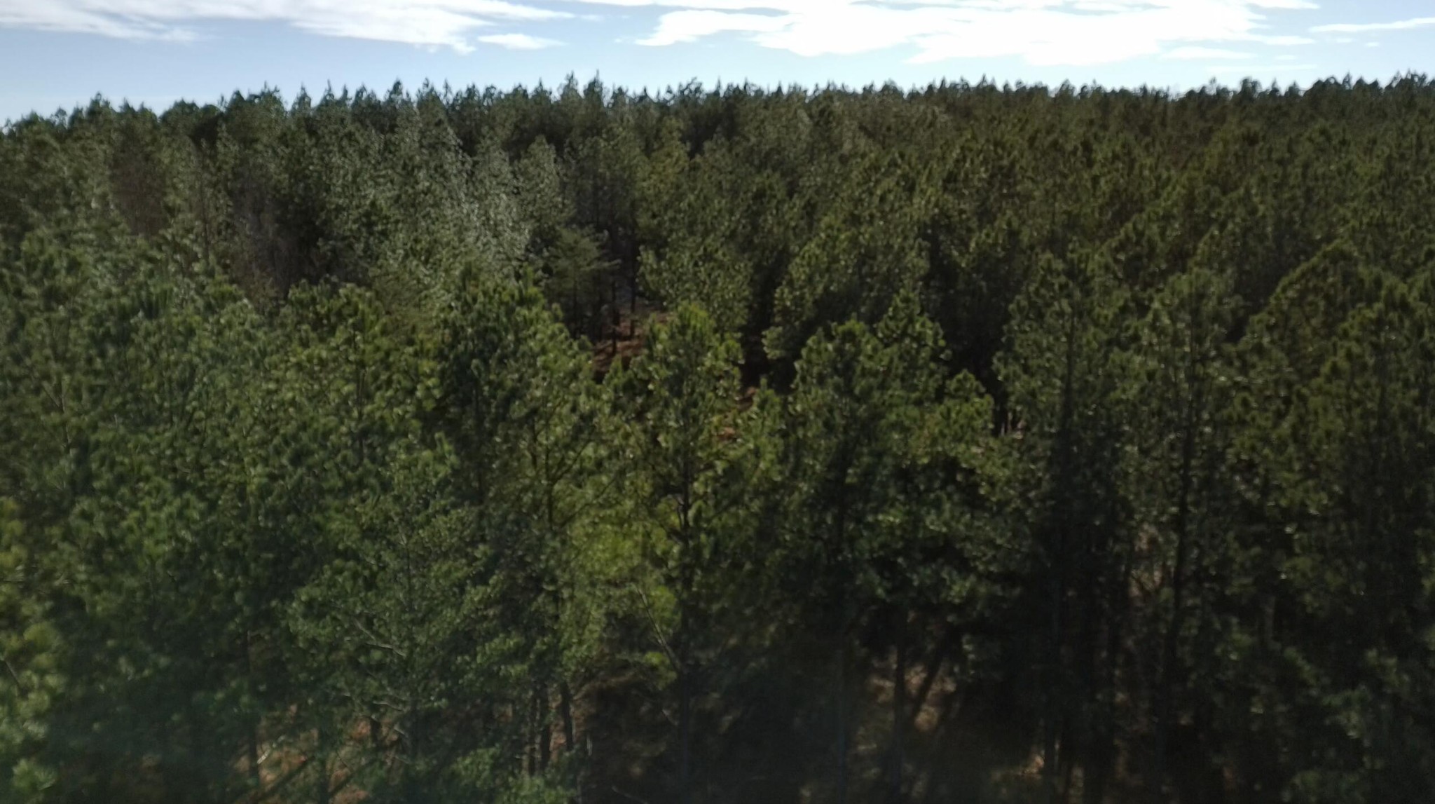 0 Three Gorges Road Soddy Daisy, TN 37379 - Photo 17 of 21 a view of a yard