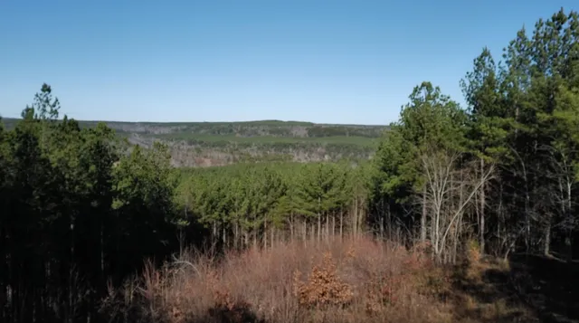 a view of a lake and green valley