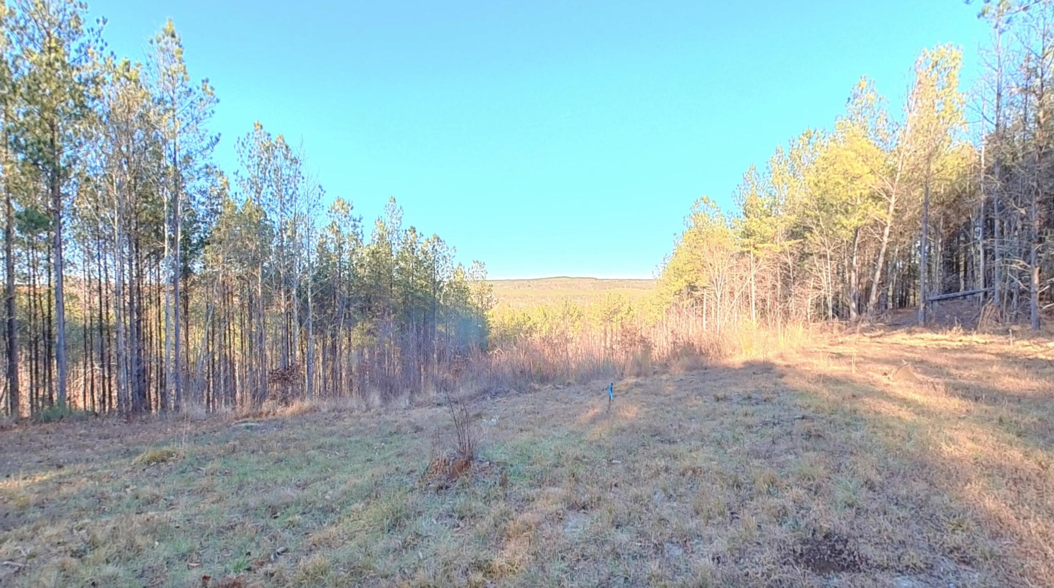 0 Three Gorges Road Soddy Daisy, TN 37379 - Photo 2 of 21 a view of backyard with green space