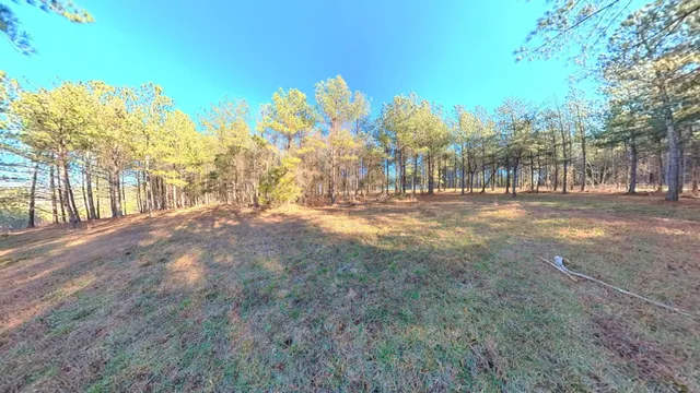 a view of dirt yard with a large tree