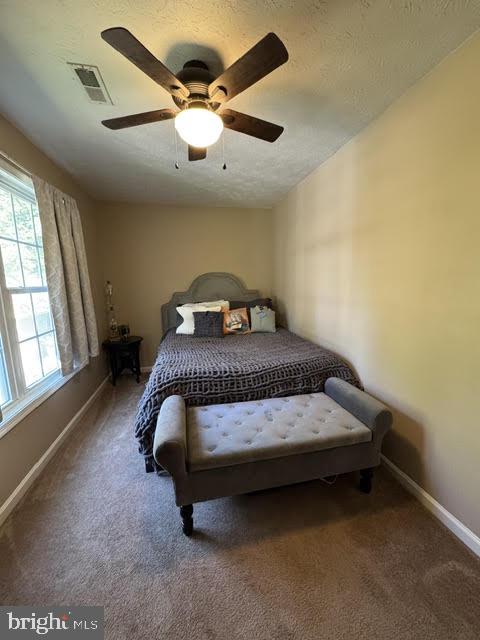 780 Lower Valley Road Strasburg, VA 22657 - Photo 12 of 21 Gallery Image 12