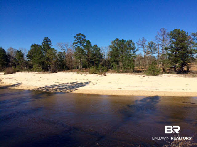 20932 Earl Phillips Road Little River, AL 36550 - Photo 3 of 17 View across Creek to other property