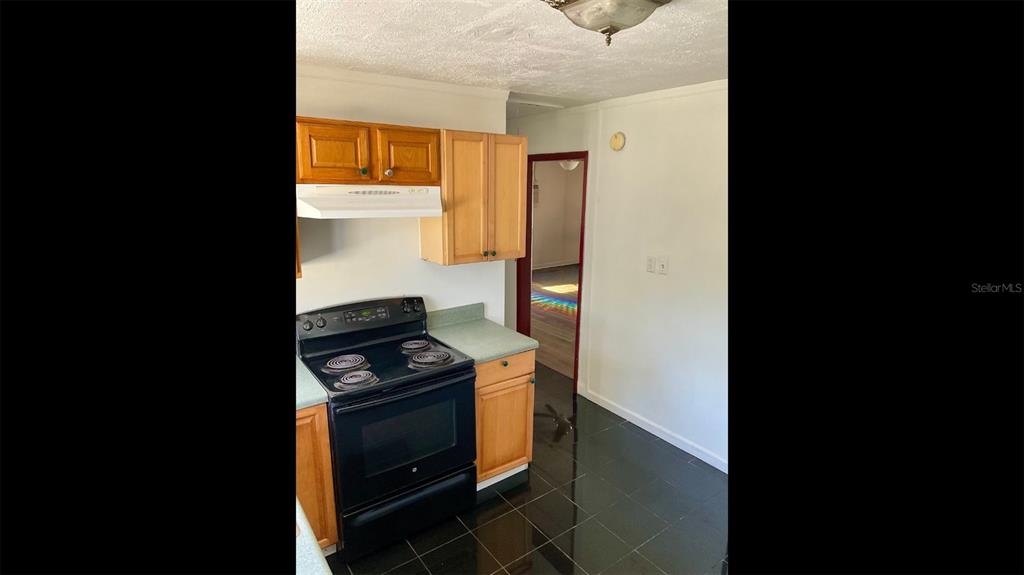 13216 Curley Road Dade City, FL 33525 - Photo 14 of 24