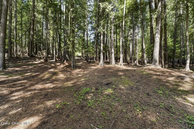 $1,100,000 | 29955 North Isle View Road, Spirit Lake, ID 83869