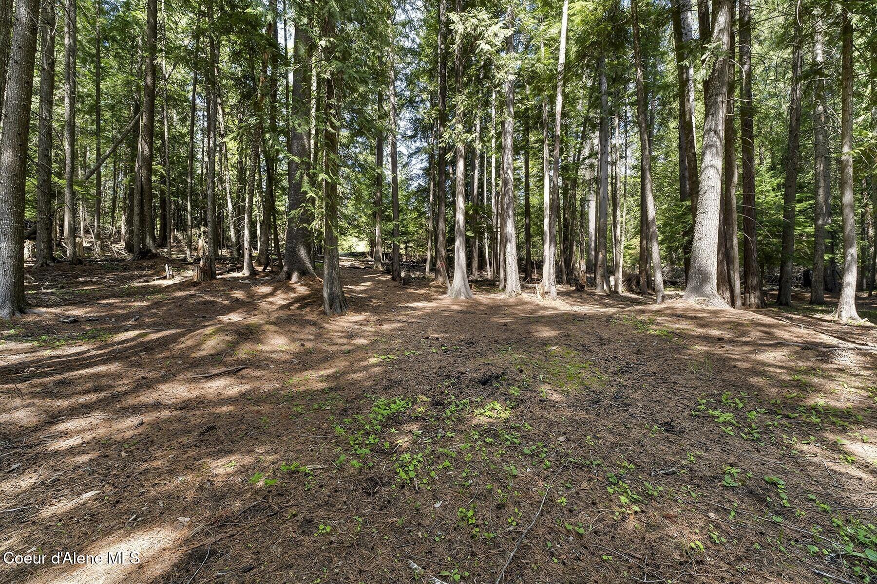 29955 North Isle View Road Spirit Lake, ID 83869 - Photo 58 of 65 29955NIsleViewRd9469