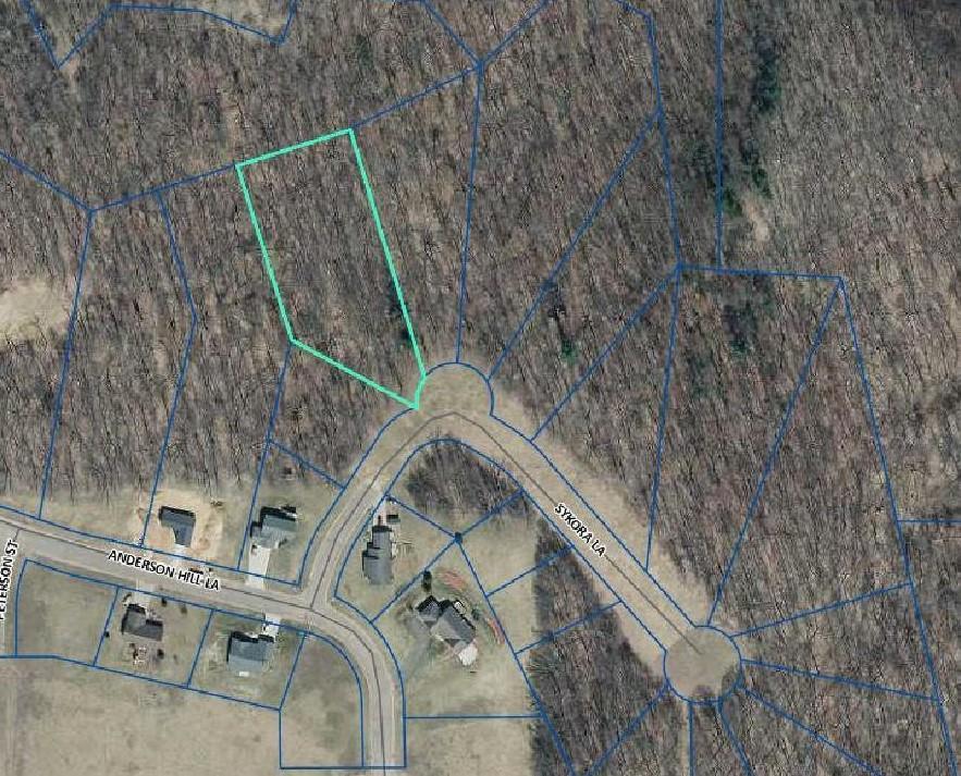 1443 Sykora Lane Boyceville, WI 54725 - Photo 2 of 12