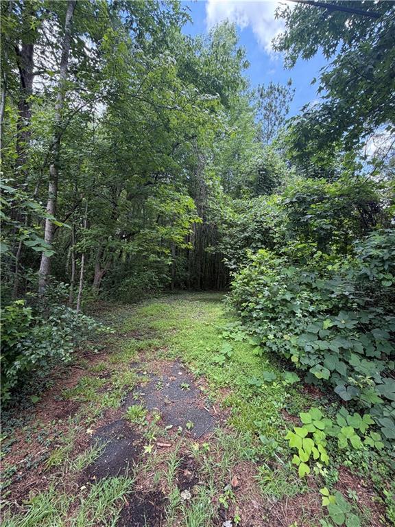 8915 Cedar Grove Road Fairburn, GA 30213 - Photo 4 of 5