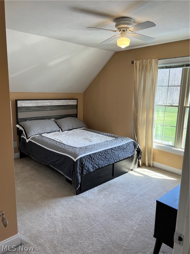 8175 Orchard Road Painesville, OH 44077 - Photo 21 of 31 Gallery Image 21