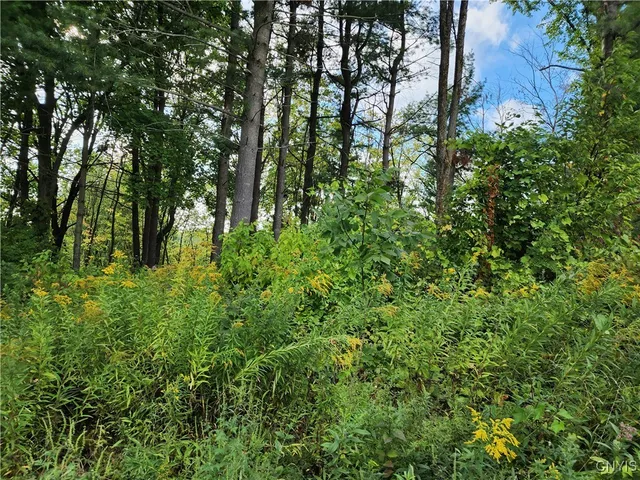 $19,000 | 33269 Broadwell Road, Theresa, NY 13691