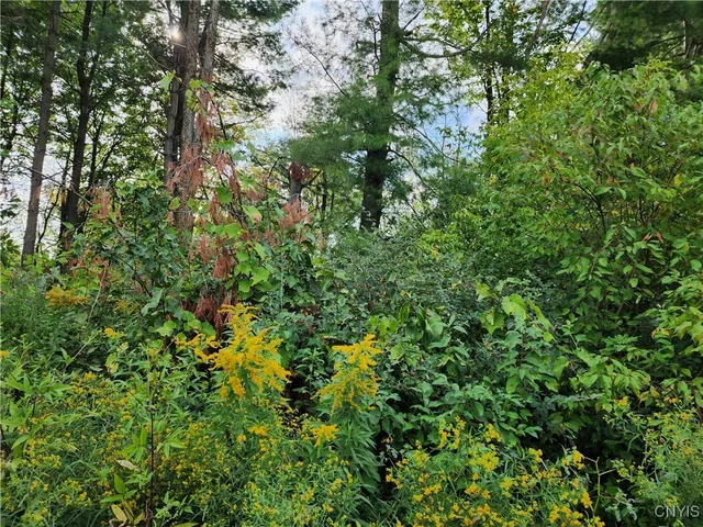 $19,000 | 33269 Broadwell Road, Theresa, NY 13691