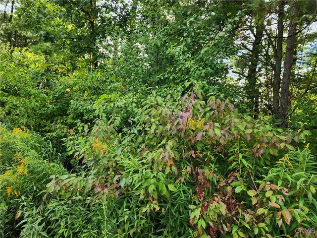 $19,000 | 33269 Broadwell Road, Theresa, NY 13691