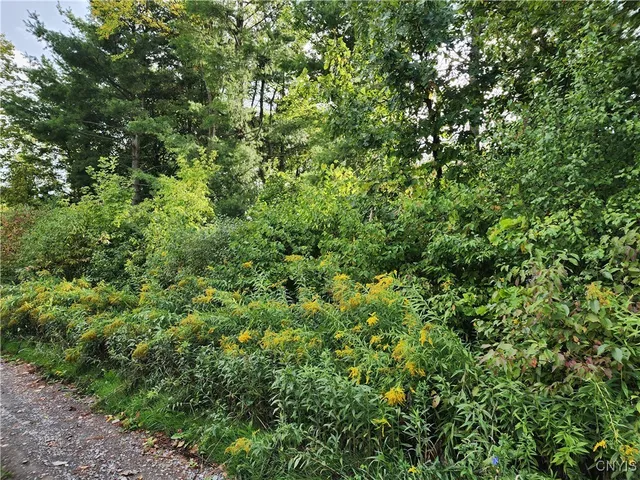 $19,000 | 33269 Broadwell Road, Theresa, NY 13691