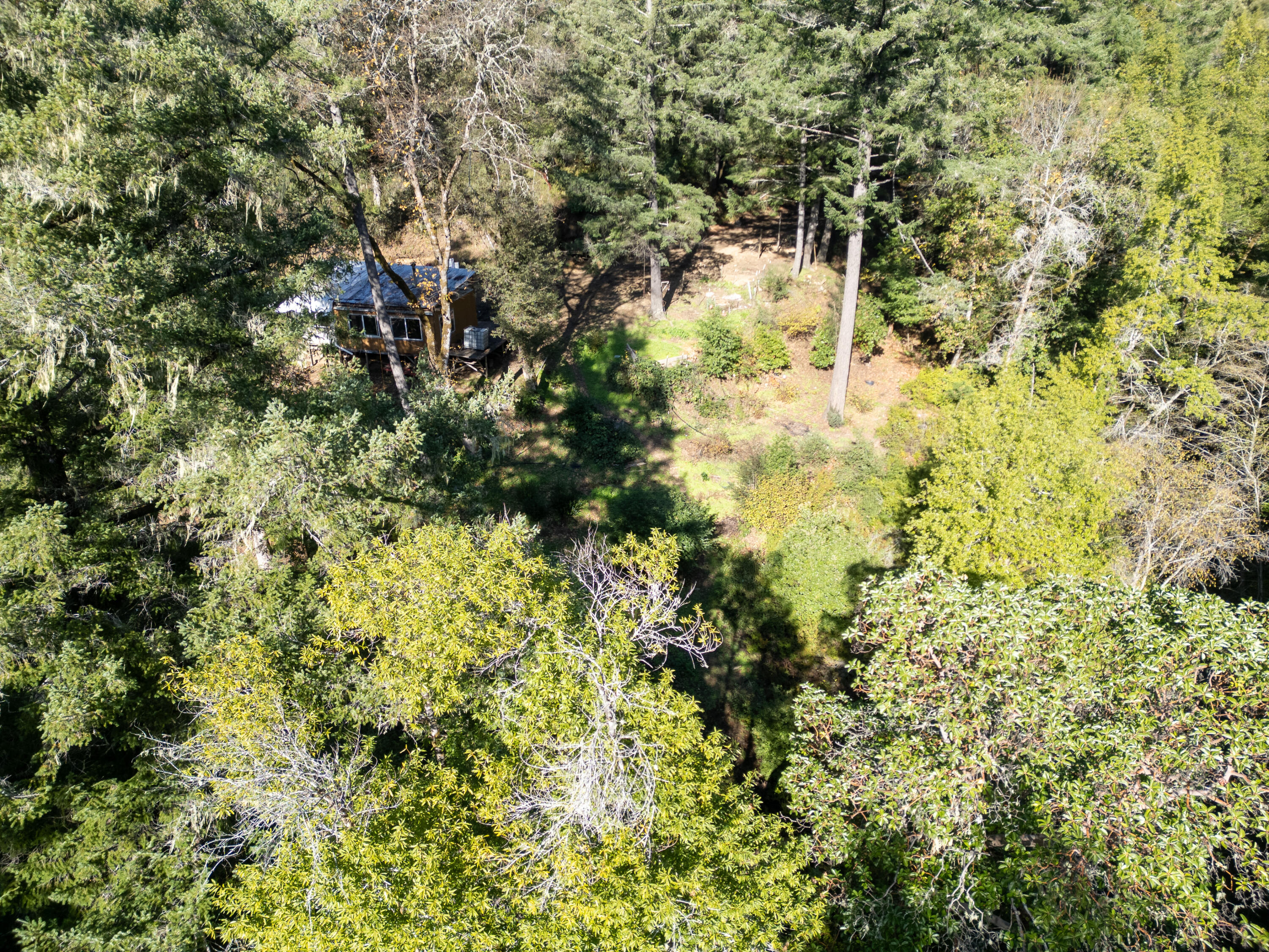 5200 Briceland Road Redway, CA 95560 - Photo 19 of 31