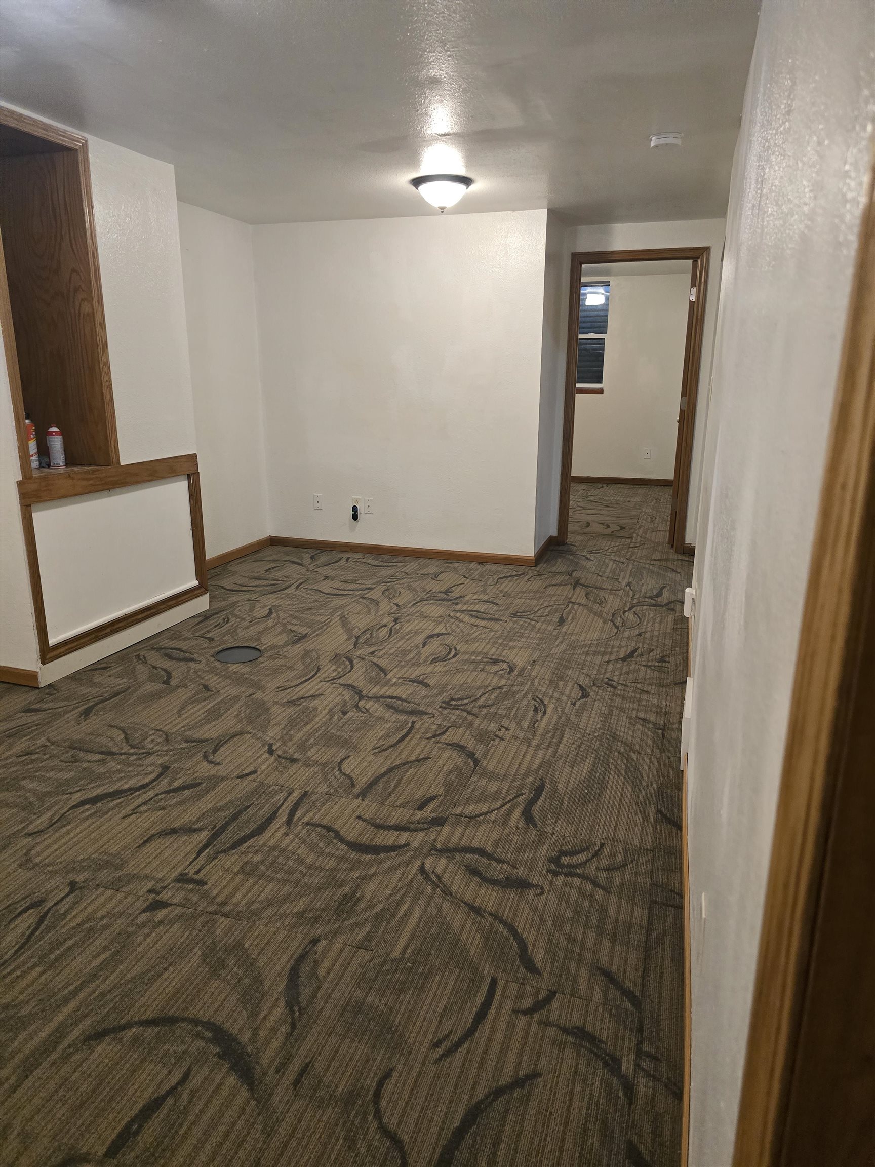 4617 Texas Madison, WI 53704 - Photo 40 of 56