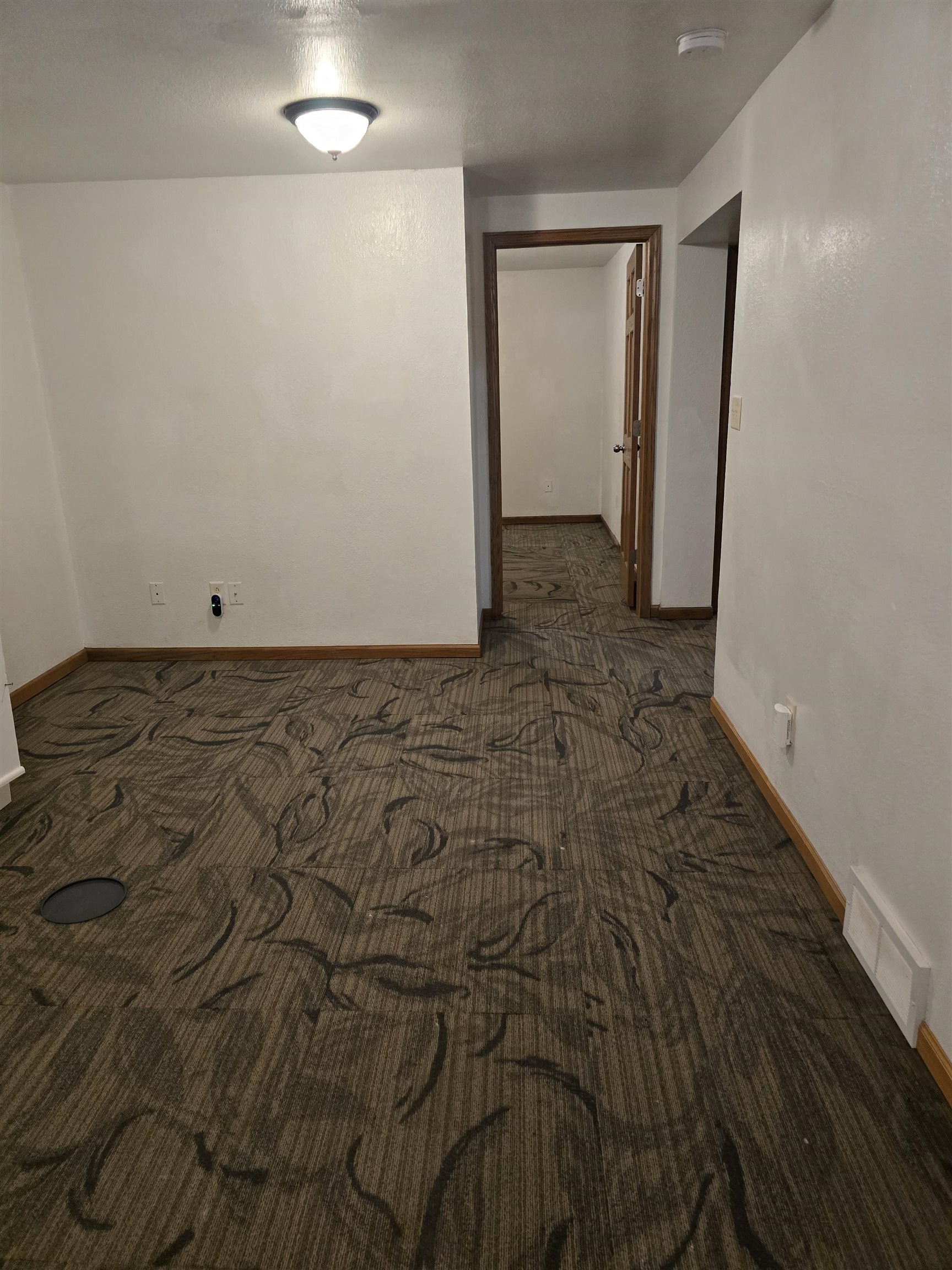 4617 Texas Madison, WI 53704 - Photo 41 of 56