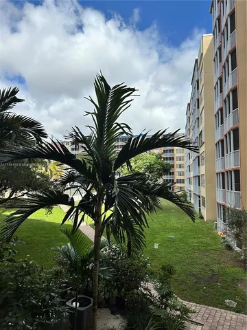 a view of a garden with a plants