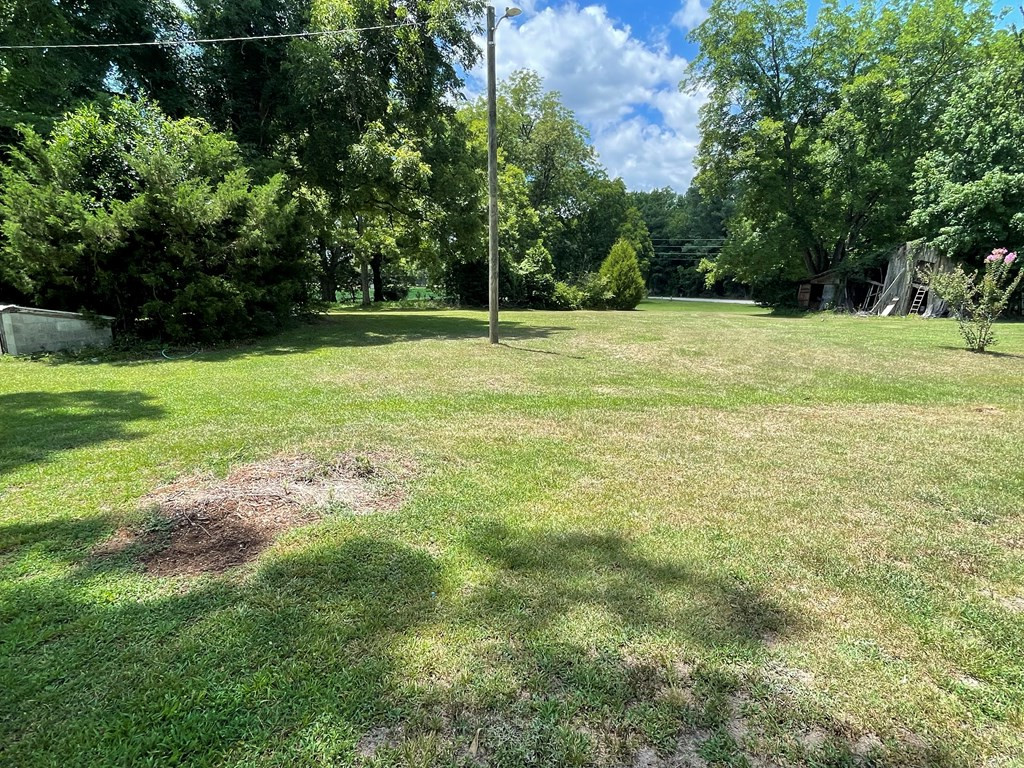 3852 Loss Brook Road Manning, SC 29102 - Photo 25 of 35 Gallery Image 25