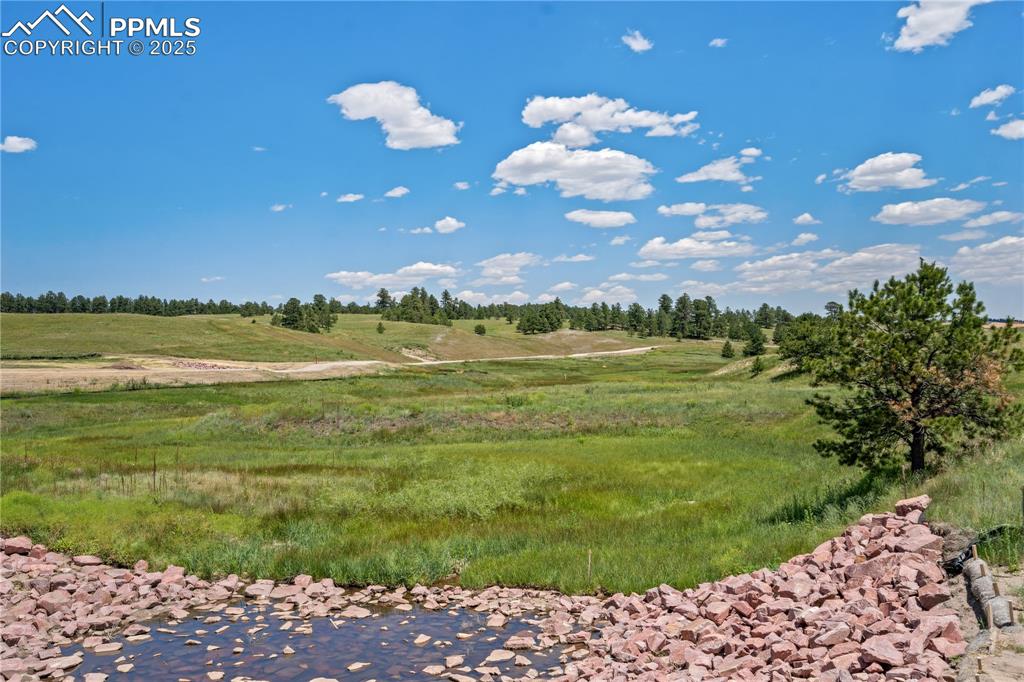 10125 Alamar Way Colorado Springs, CO 80908 - Photo 15 of 29 a view of a garden