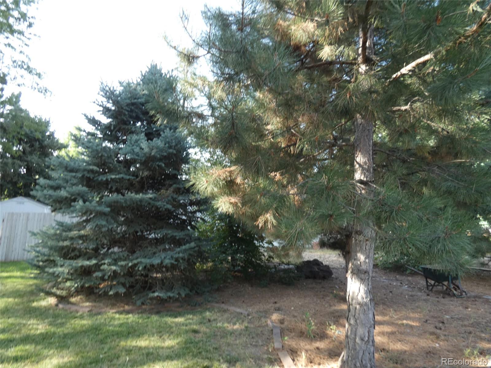 5190 Tabor Street Wheat Ridge, CO 80033 - Photo 8 of 36