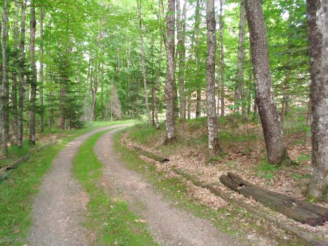 2021 Simpson Road Phelps, WI 54554 - Photo 17 of 20 Gallery Image 17