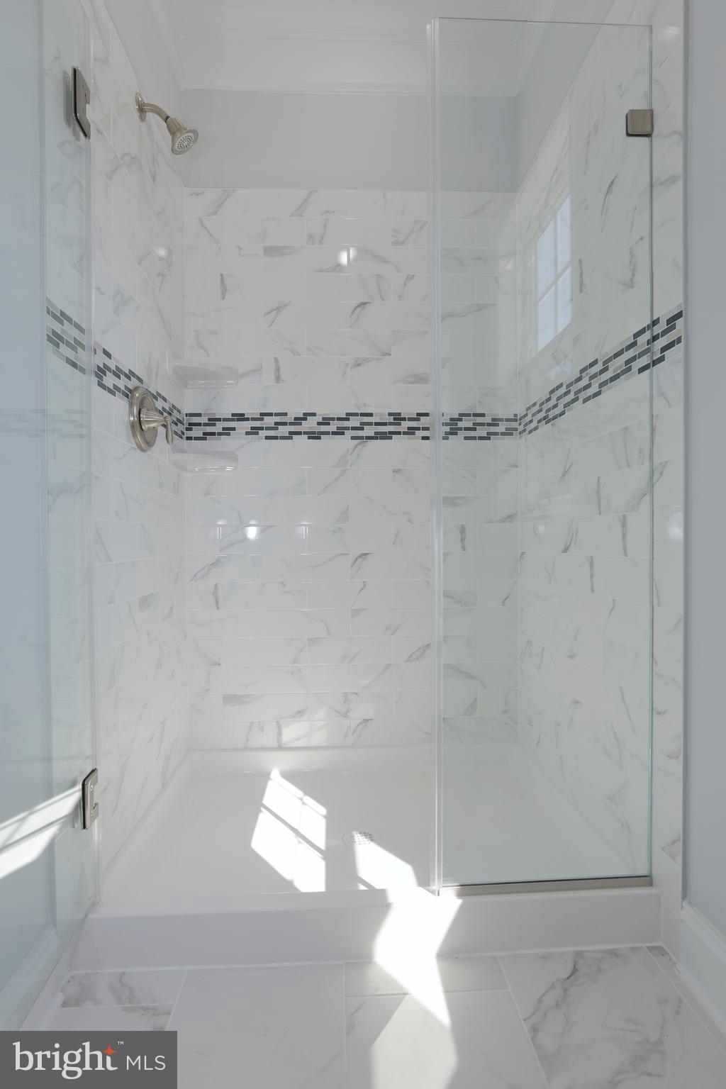 11893 Bradley Forest Road Manassas, VA 20112 - Photo 27 of 60 ML Master Bath Shwoer