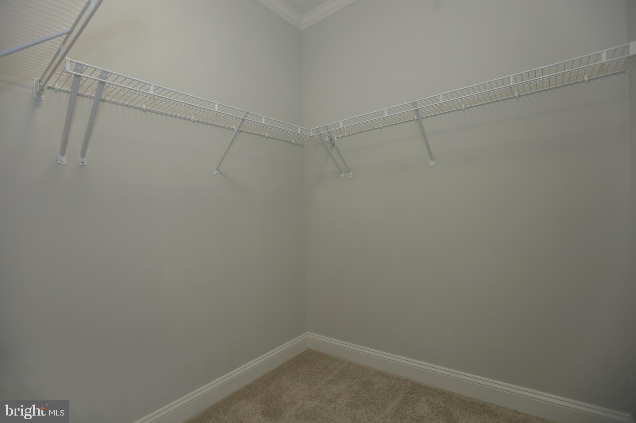 11893 Bradley Forest Road Manassas, VA 20112 - Photo 38 of 60 UL Bedroom 2 - WIC