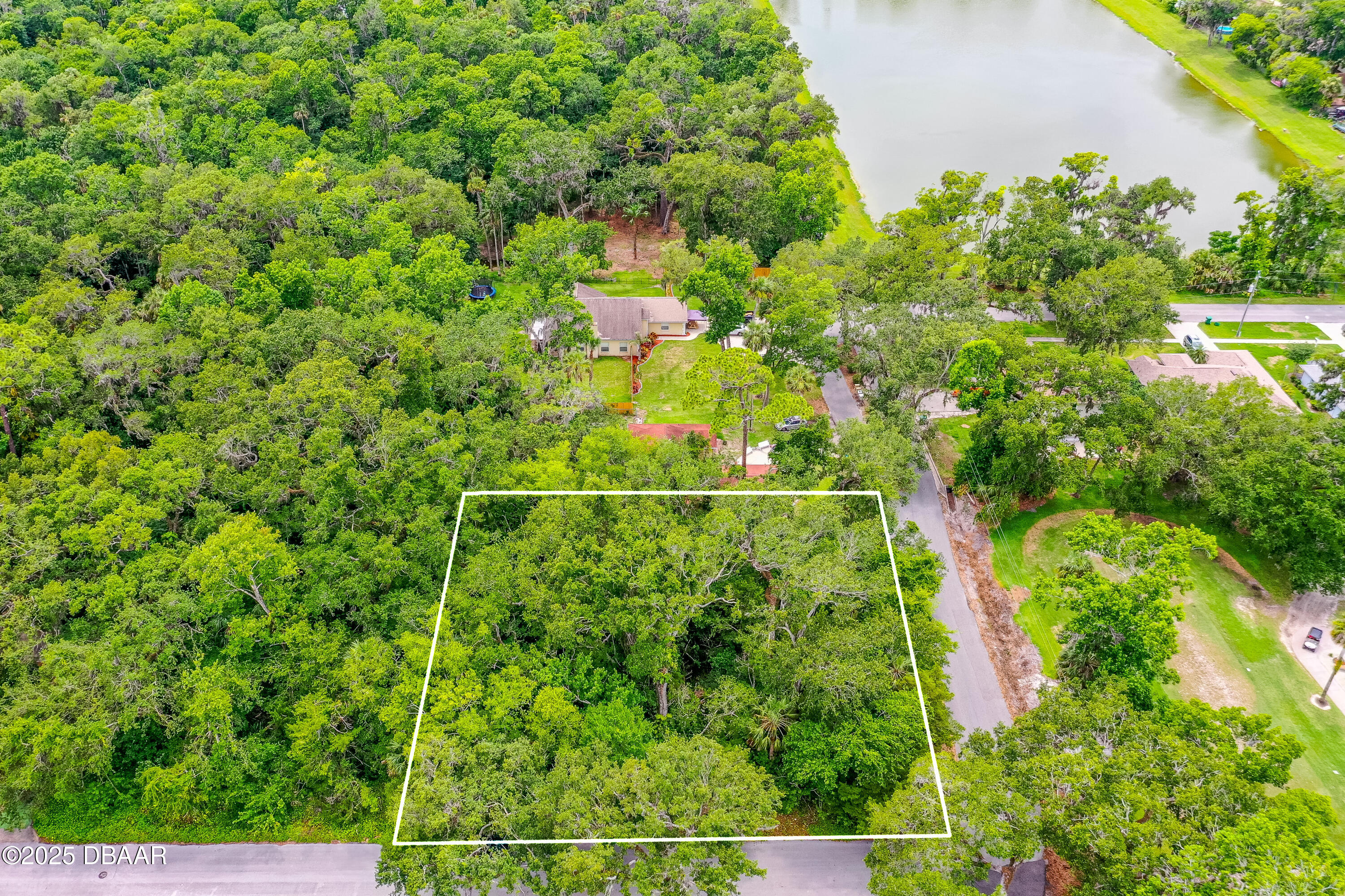 1 Timber Trail Holly Hill, FL 32174 - Photo 2 of 7 a view of a garden